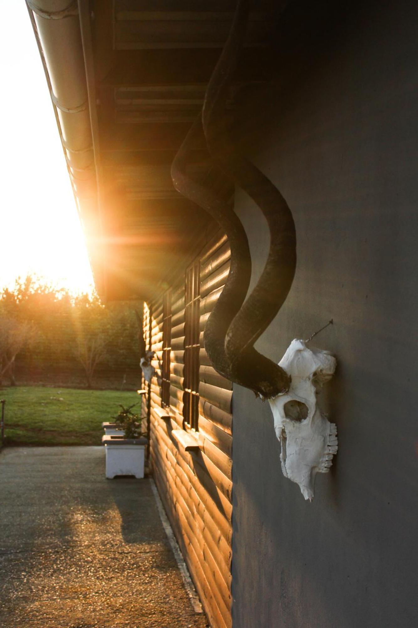 The Dam House Apartment Addo Exterior photo